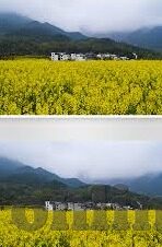 91麻豆精品免费-深挖网络生态,免费视频内容与91麻豆精品的迷思